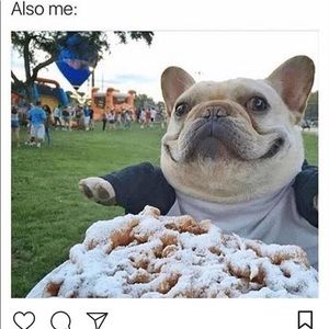 Meet your Posher, Damian